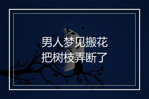 男人梦见搬花把树枝弄断了