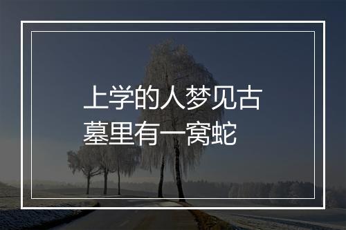 上学的人梦见古墓里有一窝蛇