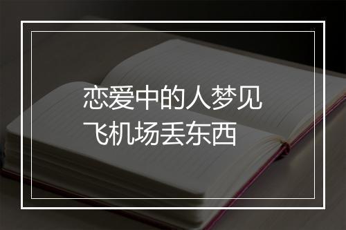 恋爱中的人梦见飞机场丢东西