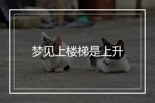 梦见上楼梯是上升