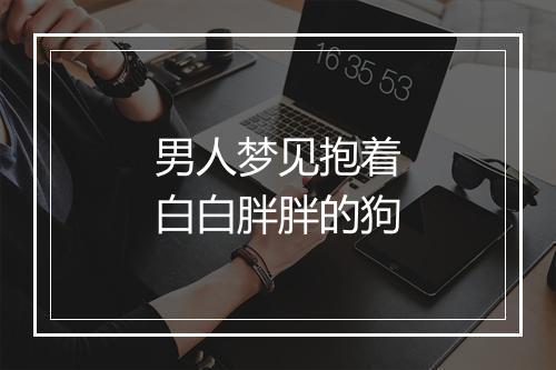 男人梦见抱着白白胖胖的狗