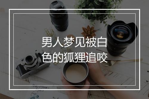 男人梦见被白色的狐狸追咬