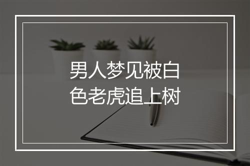 男人梦见被白色老虎追上树