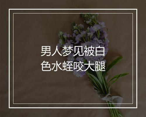 男人梦见被白色水蛭咬大腿