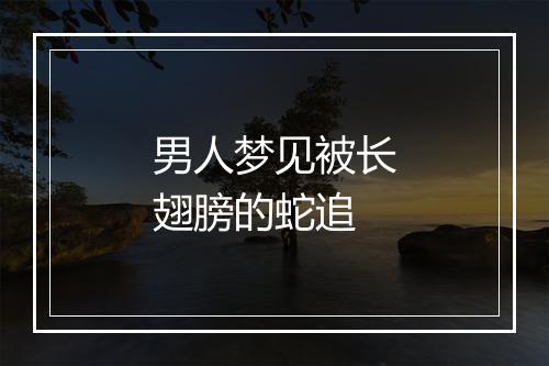 男人梦见被长翅膀的蛇追