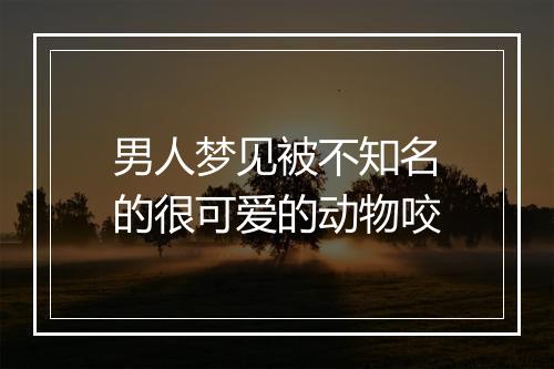 男人梦见被不知名的很可爱的动物咬