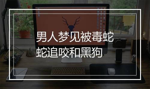 男人梦见被毒蛇蛇追咬和黑狗