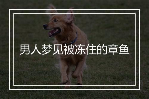 男人梦见被冻住的章鱼