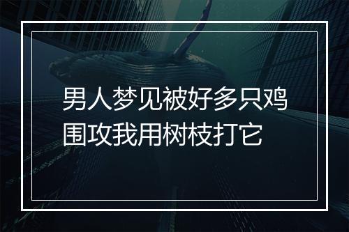 男人梦见被好多只鸡围攻我用树枝打它