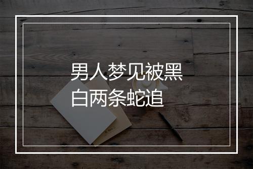 男人梦见被黑白两条蛇追