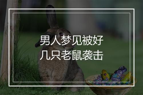 男人梦见被好几只老鼠袭击