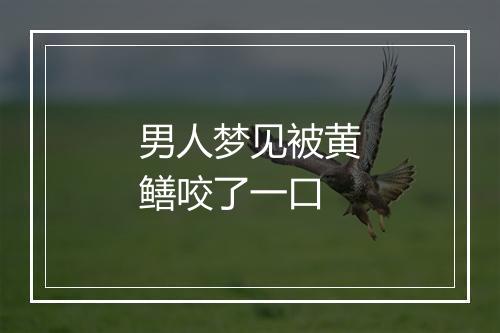 男人梦见被黄鳝咬了一口