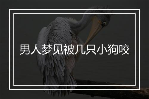 男人梦见被几只小狗咬