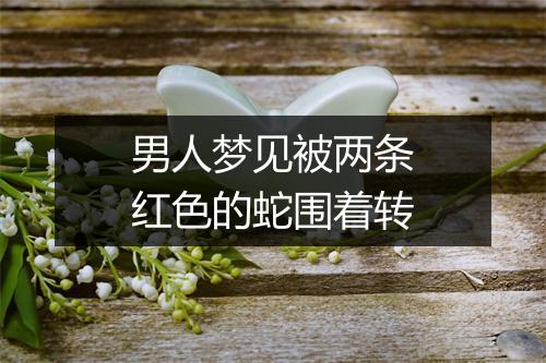 男人梦见被两条红色的蛇围着转