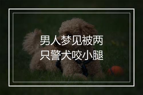 男人梦见被两只警犬咬小腿