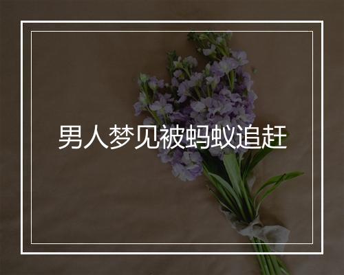 男人梦见被蚂蚁追赶