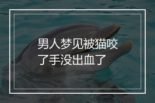 男人梦见被猫咬了手没出血了