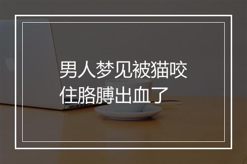 男人梦见被猫咬住胳膊出血了