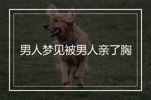 男人梦见被男人亲了胸