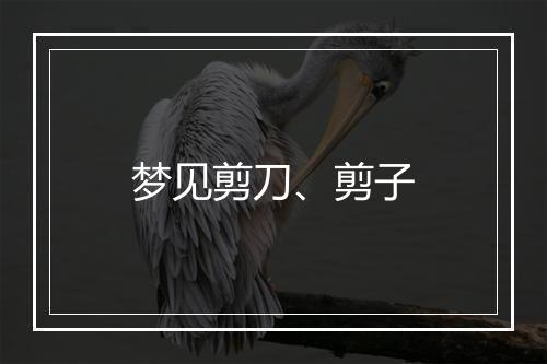 梦见剪刀、剪子