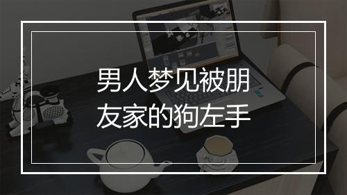 男人梦见被朋友家的狗左手