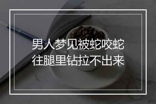 男人梦见被蛇咬蛇往腿里钻拉不出来