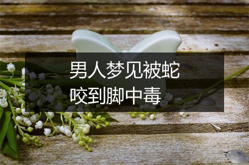 男人梦见被蛇咬到脚中毒