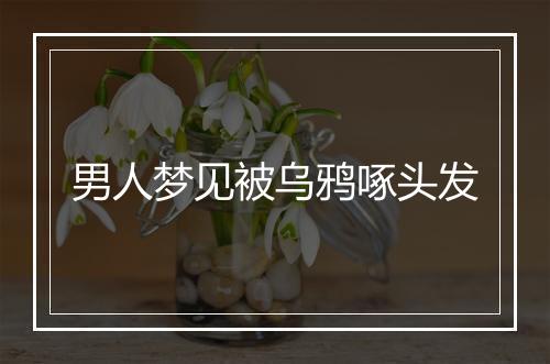 男人梦见被乌鸦啄头发