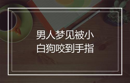 男人梦见被小白狗咬到手指