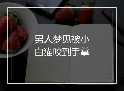 男人梦见被小白猫咬到手掌