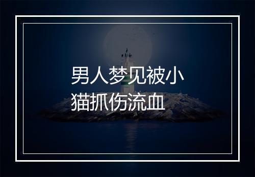 男人梦见被小猫抓伤流血