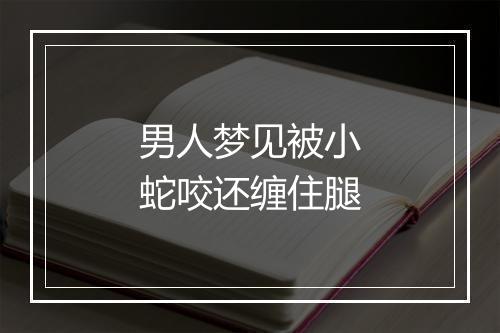 男人梦见被小蛇咬还缠住腿