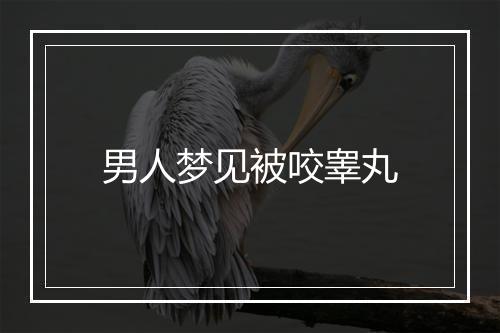 男人梦见被咬睾丸