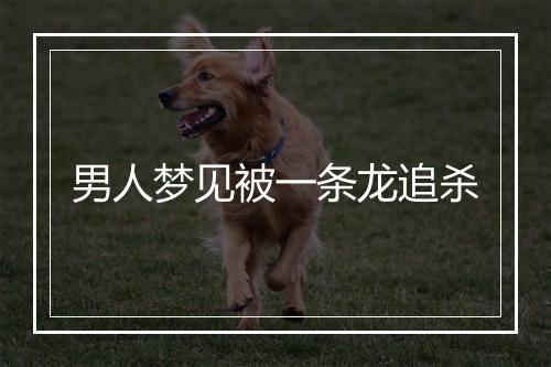 男人梦见被一条龙追杀