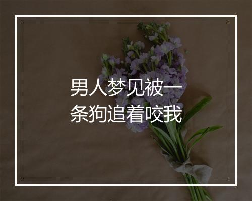 男人梦见被一条狗追着咬我