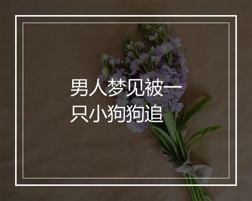 男人梦见被一只小狗狗追