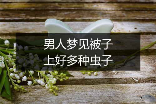 男人梦见被子上好多种虫子