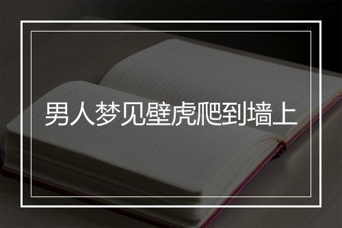 男人梦见壁虎爬到墙上