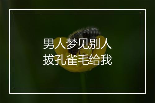 男人梦见别人拔孔雀毛给我