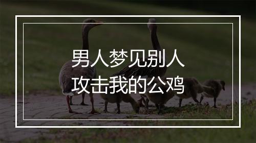 男人梦见别人攻击我的公鸡