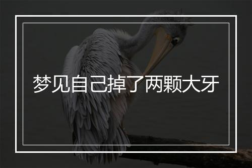 梦见自己掉了两颗大牙