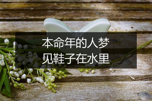 本命年的人梦见鞋子在水里