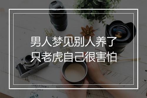 男人梦见别人养了只老虎自己很害怕