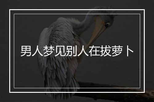 男人梦见别人在拔萝卜