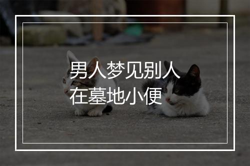 男人梦见别人在墓地小便