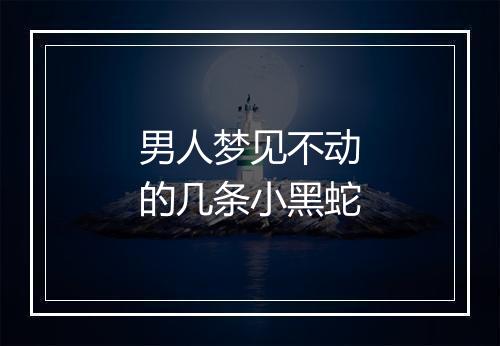 男人梦见不动的几条小黑蛇