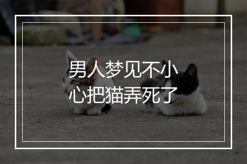 男人梦见不小心把猫弄死了