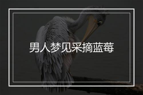 男人梦见采摘蓝莓