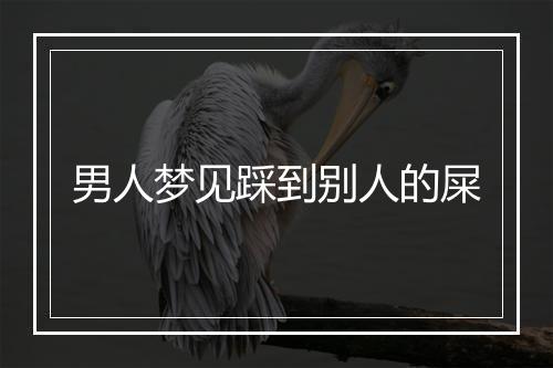 男人梦见踩到别人的屎