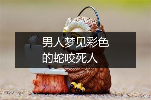 男人梦见彩色的蛇咬死人